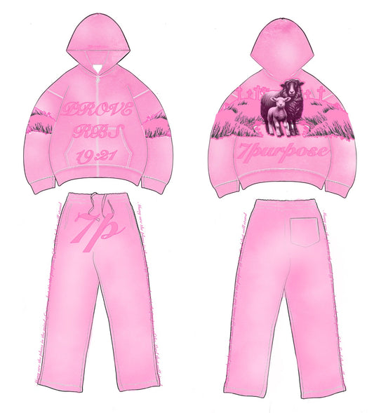 Providence Zip Up - pink
